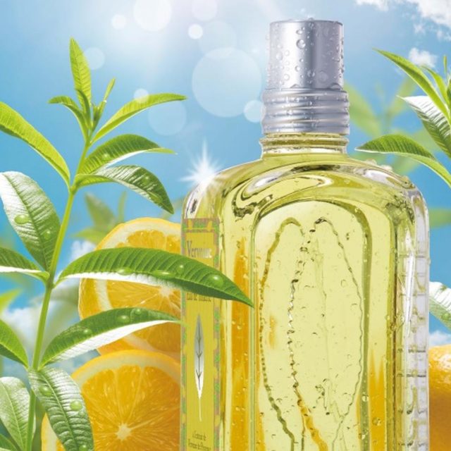 ロクシタン、夏にぴったりな「シトラス」が香るアイテムを限定発売