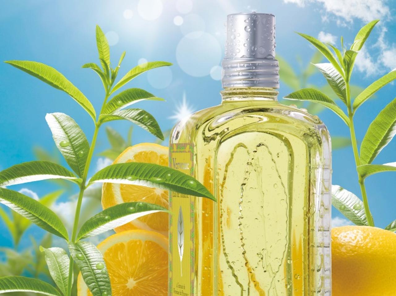 ロクシタン、夏にぴったりな「シトラス」が香るアイテムを限定発売