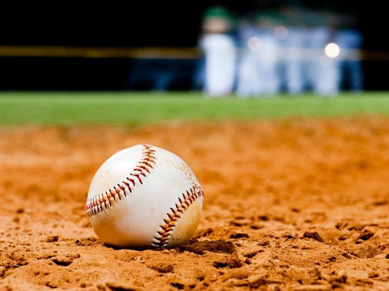 これぞ奇跡!MLBの球場で女性がボールを取った方法がすごい