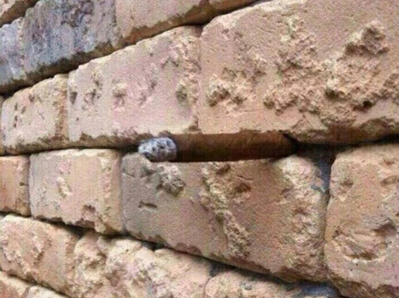 一見ただの壁の写真…隠された「ある事実」にあなたは気づきますか？