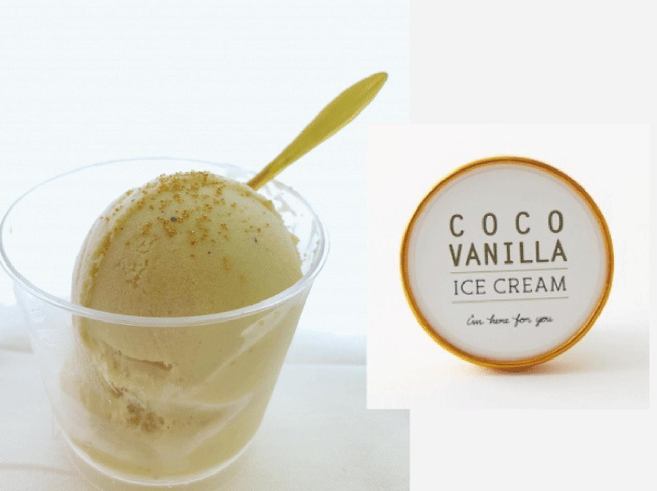 ありそうでなかった、ココナッツミルクのヴァニラアイスクリームが登場