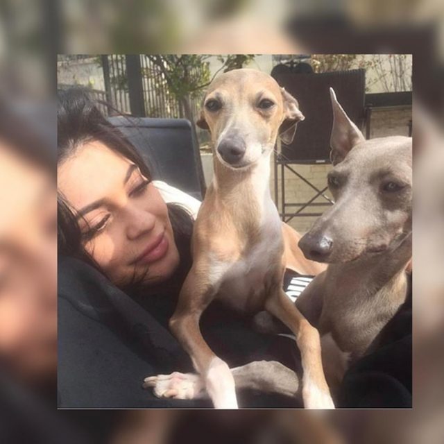 カイリー・ジェンナー、犬のために建てた家は人間が住めるレベル
