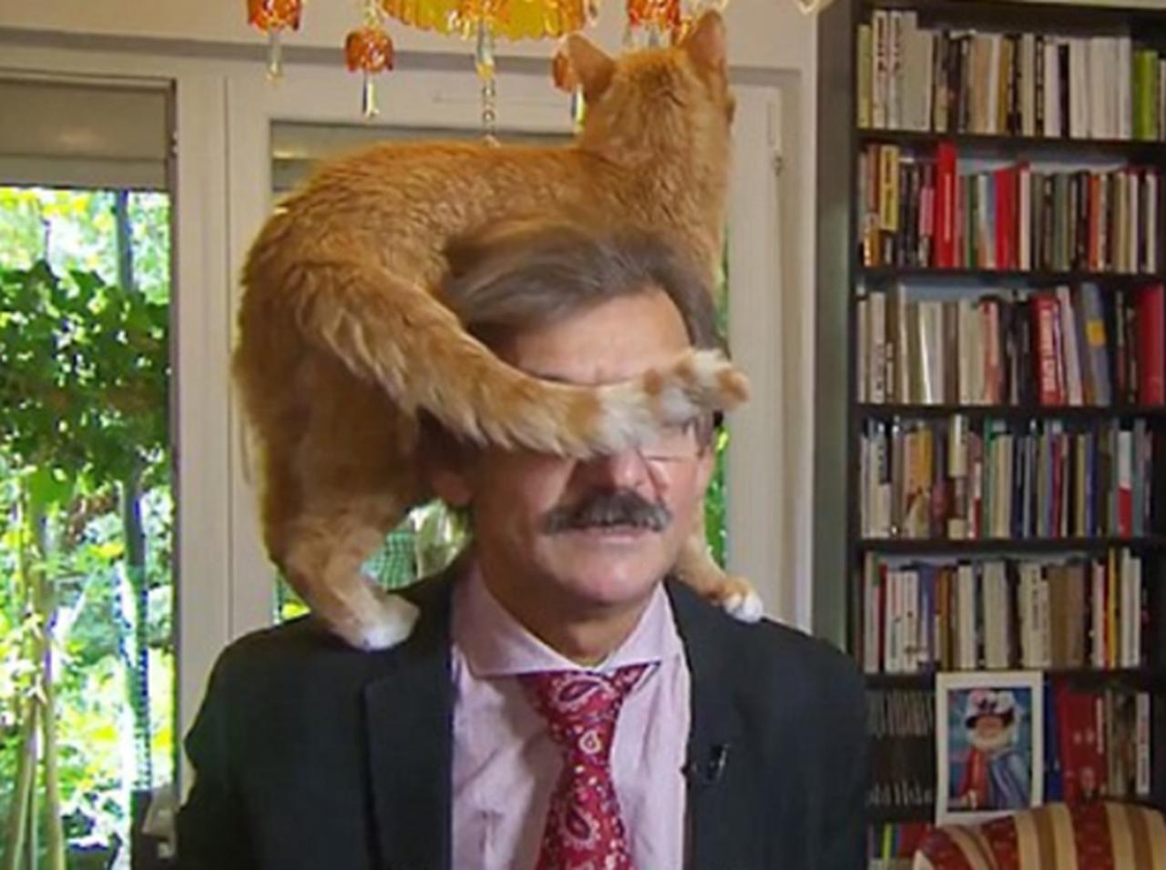 超真面目なインタビューに猫乱入！それでも動じない学者と猫の絡みに癒される