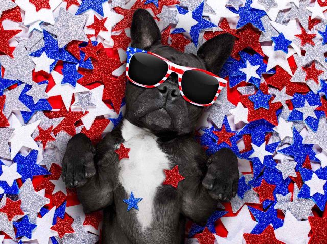 アメリカ人にしかわからない独立記念日の「あるある」がおもしろい