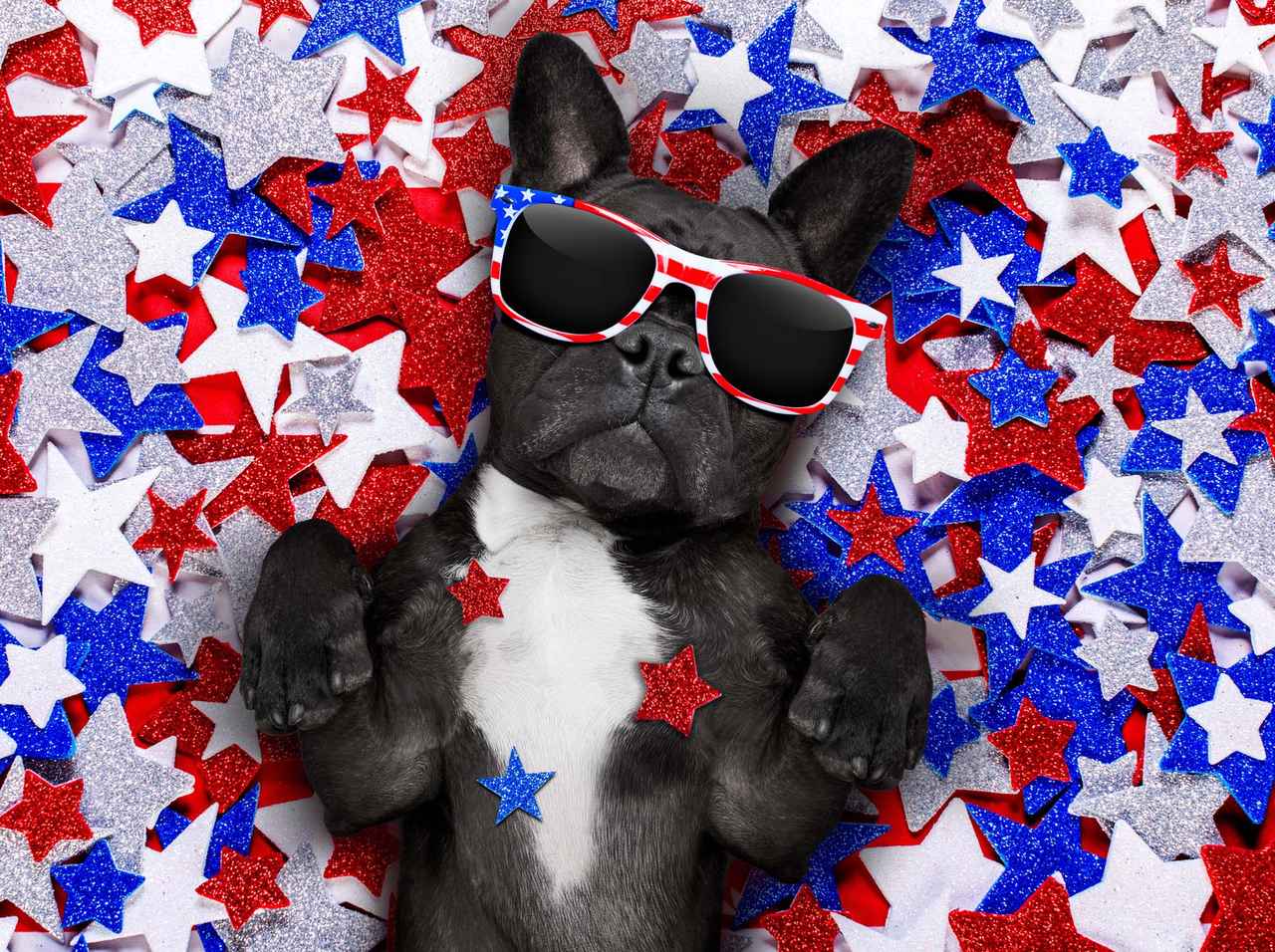 アメリカ人にしかわからない独立記念日の「あるある」がおもしろい