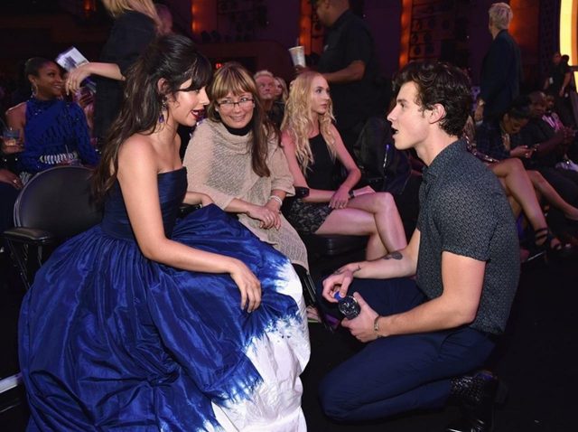 ショーン・メンデス、再び披露した「王子様ポーズ」に胸キュン