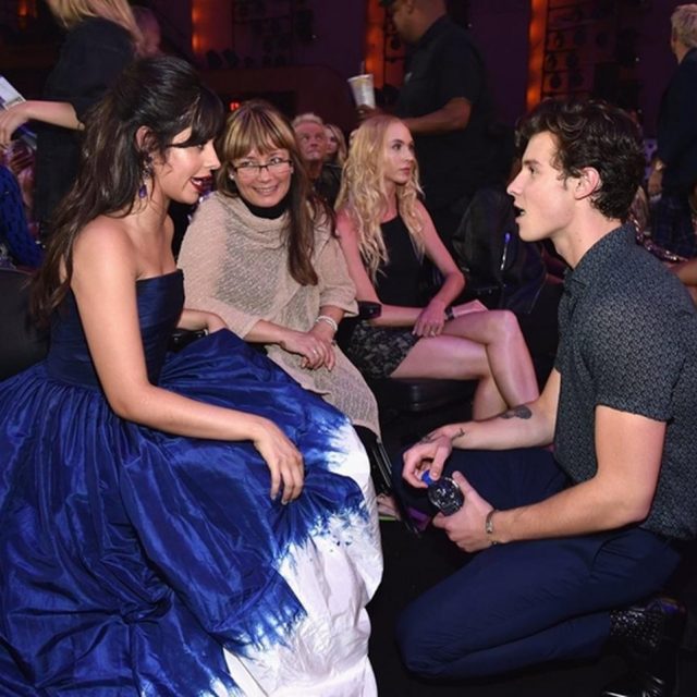 ショーン・メンデス、再び披露した「王子様ポーズ」に胸キュン