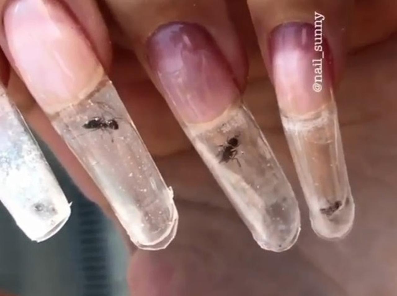 爪に生きたアリ…！驚愕の「アリネイル」が衝撃的すぎる