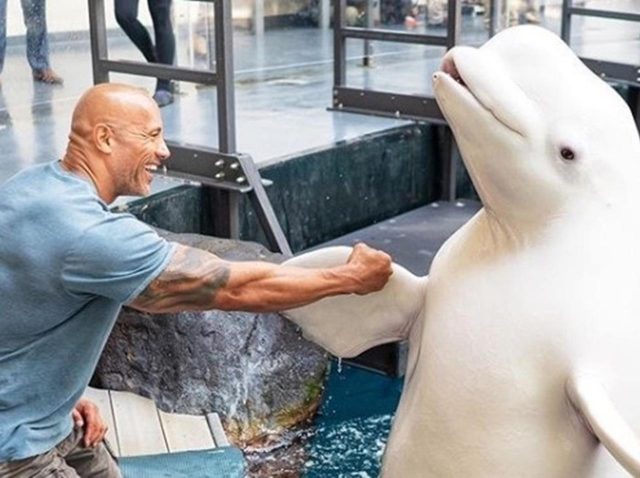 ドウェイン・ジョンソンが載せた水族館でのインスタ写真に批判殺到、理由は一体？