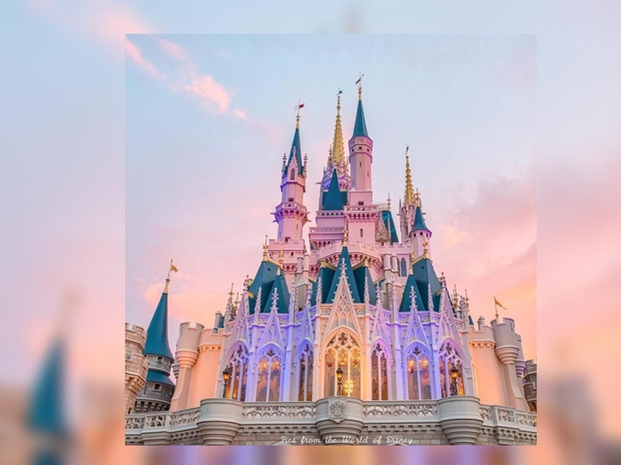 ディズニーワールドの売店に泥棒が!その可愛すぎる泥棒の正体とは?