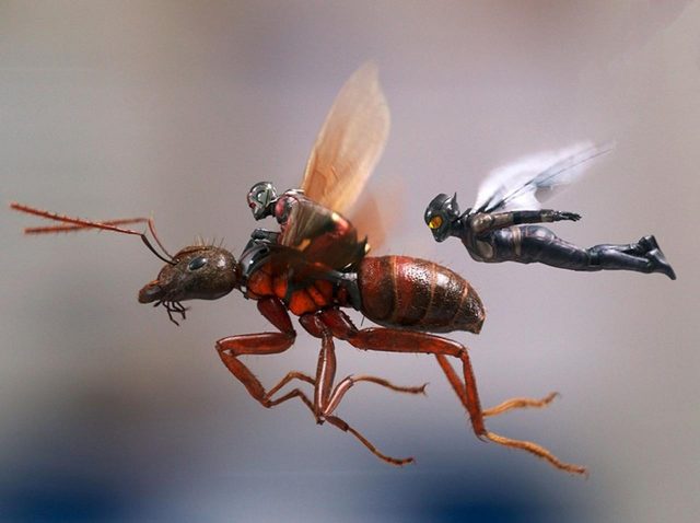 『アントマン＆ワスプ』がアベンジャーズに欠かせないワケ