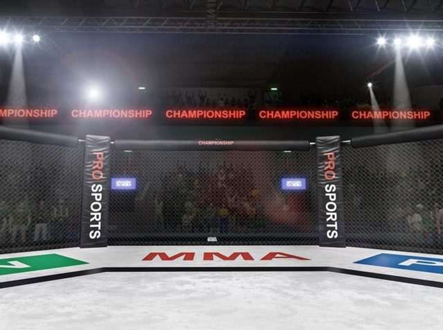 山本KID徳郁にあの海外セレブも追悼の言葉を送る