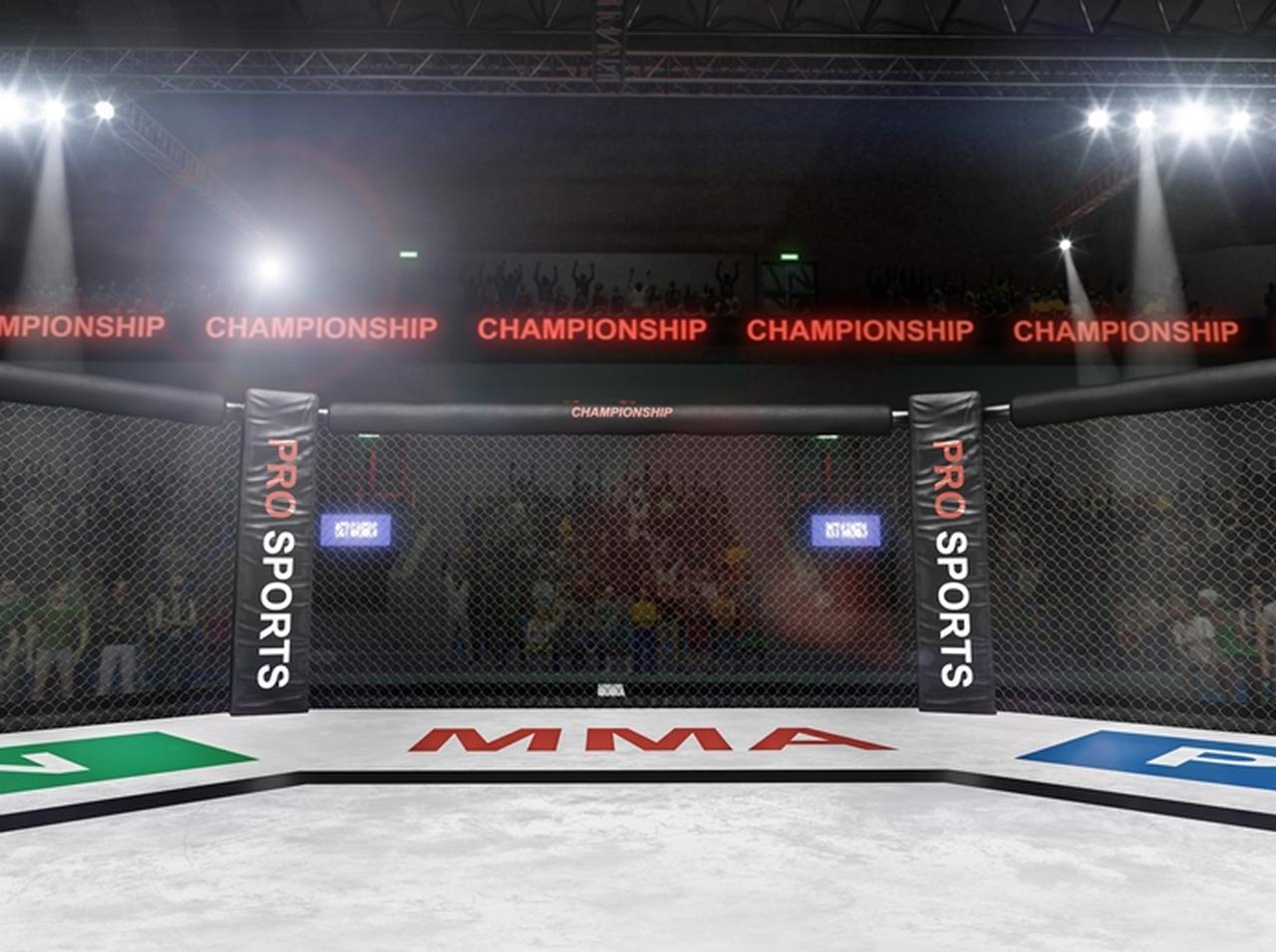 山本KID徳郁にあの海外セレブも追悼の言葉を送る