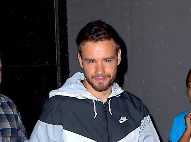 リアム・ペイン、あるシンガーのインスタに登場し交際相手はいないと明かす