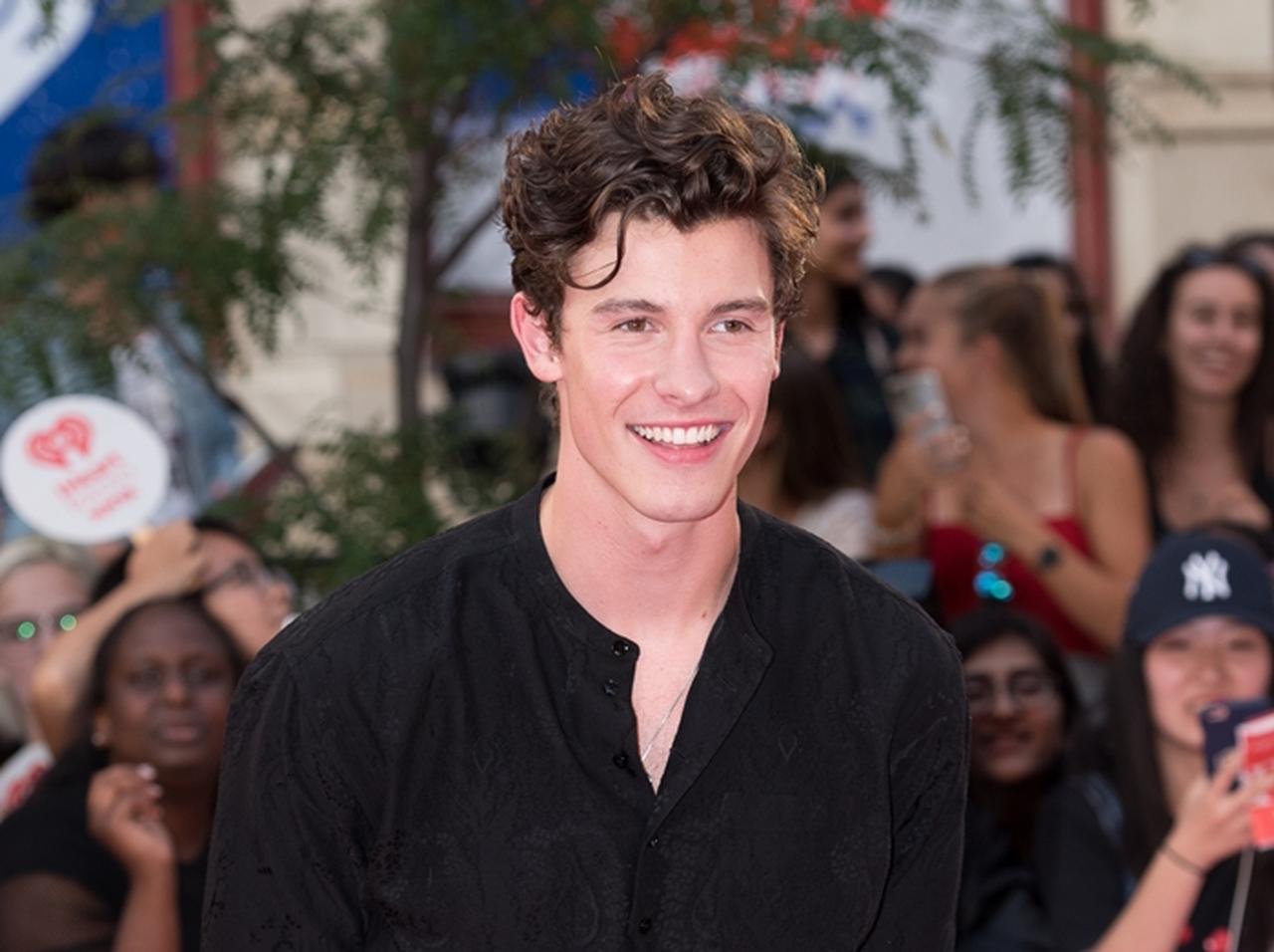 ショーン・メンデス、「秘密の日記」に書かれた『真実』が気になる