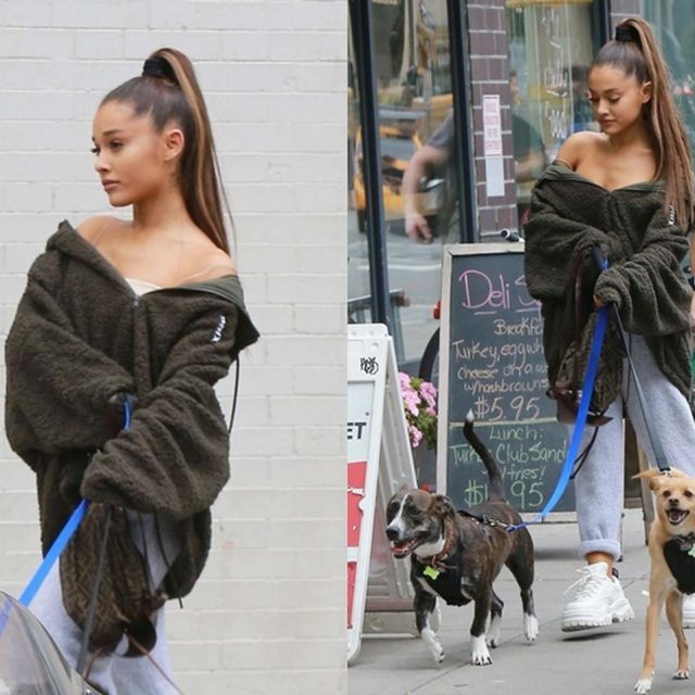 アリアナ・グランデ、亡くなった元恋人マック・ミラーの「愛犬」と散歩