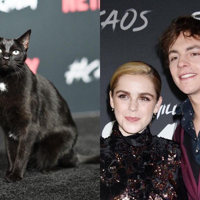 『サブリナ：ダークアドベンチャー』のプレミアに黒猫が登場！プロ意識の高さに喝采