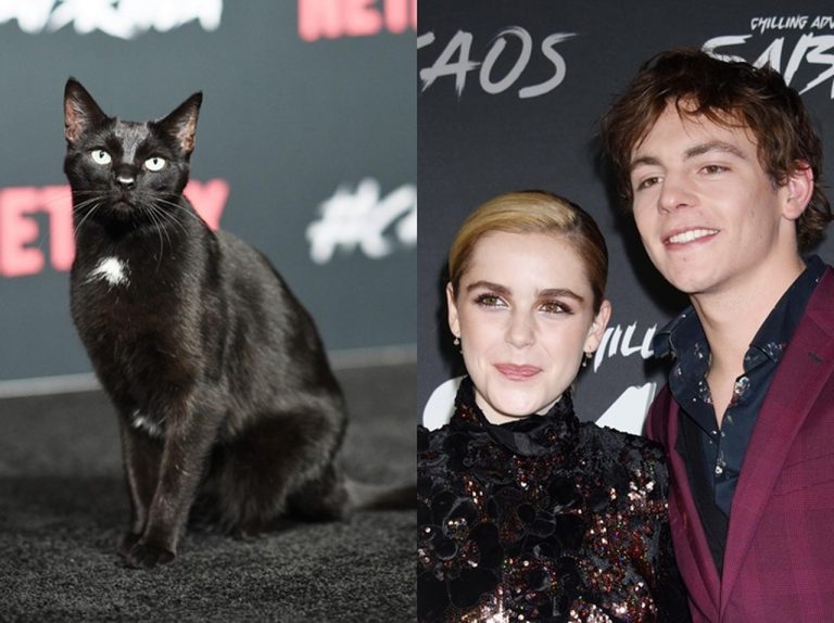 『サブリナ：ダークアドベンチャー』のプレミアに黒猫が登場！プロ意識の高さに喝采