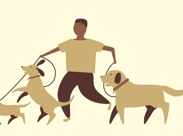 飼い犬に「股間」を襲撃された男性が意識不明の重体に