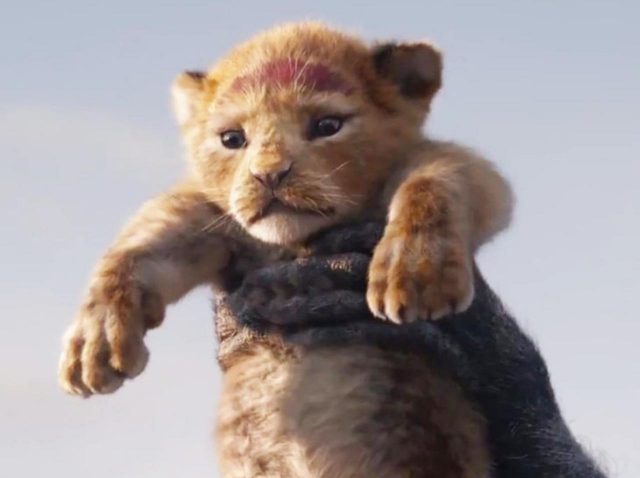 実写版『ライオン・キング』の予告編が公開！シンバの「モフモフの毛並み」に感動