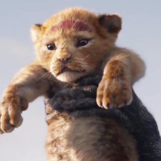 実写版『ライオン・キング』の予告編が公開！シンバの「モフモフの毛並み」に感動