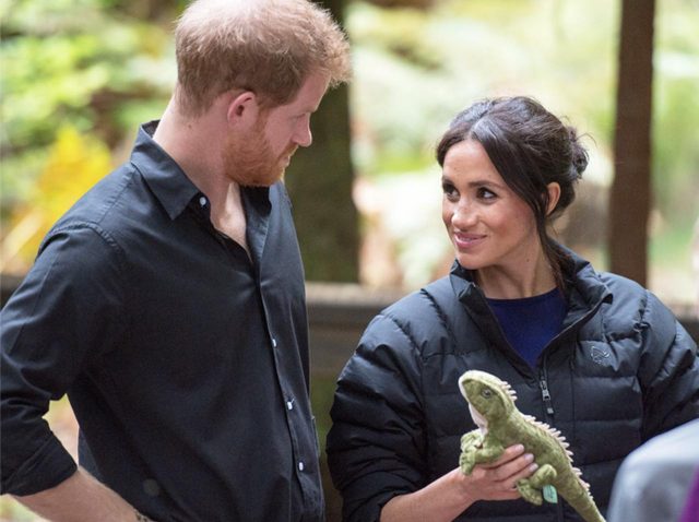 ヘンリー王子、メーガン妃へのさりげない“気遣い”がまるで「少女マンガ」