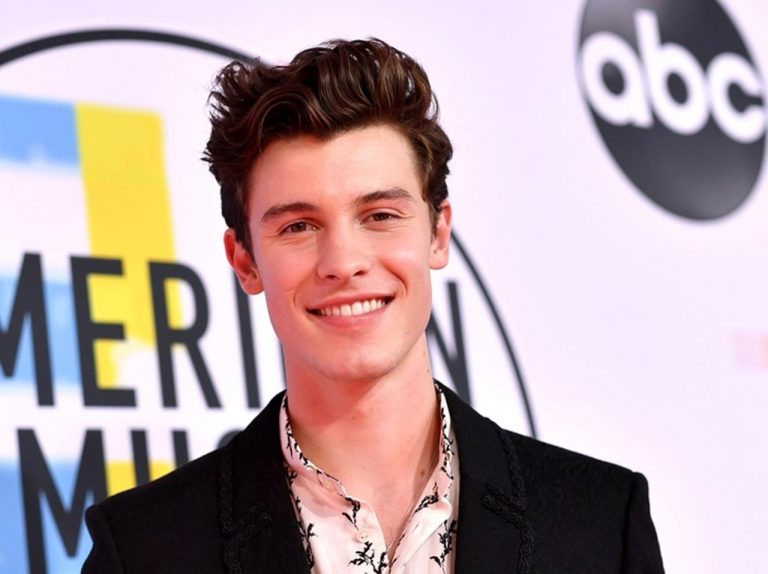 ショーン・メンデス、ツイッターの返信をした「相手」がツッコミどころ満載