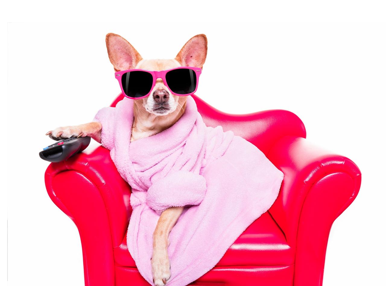 フロントロウ編集部が2018年にハマった海外ドラマ10選