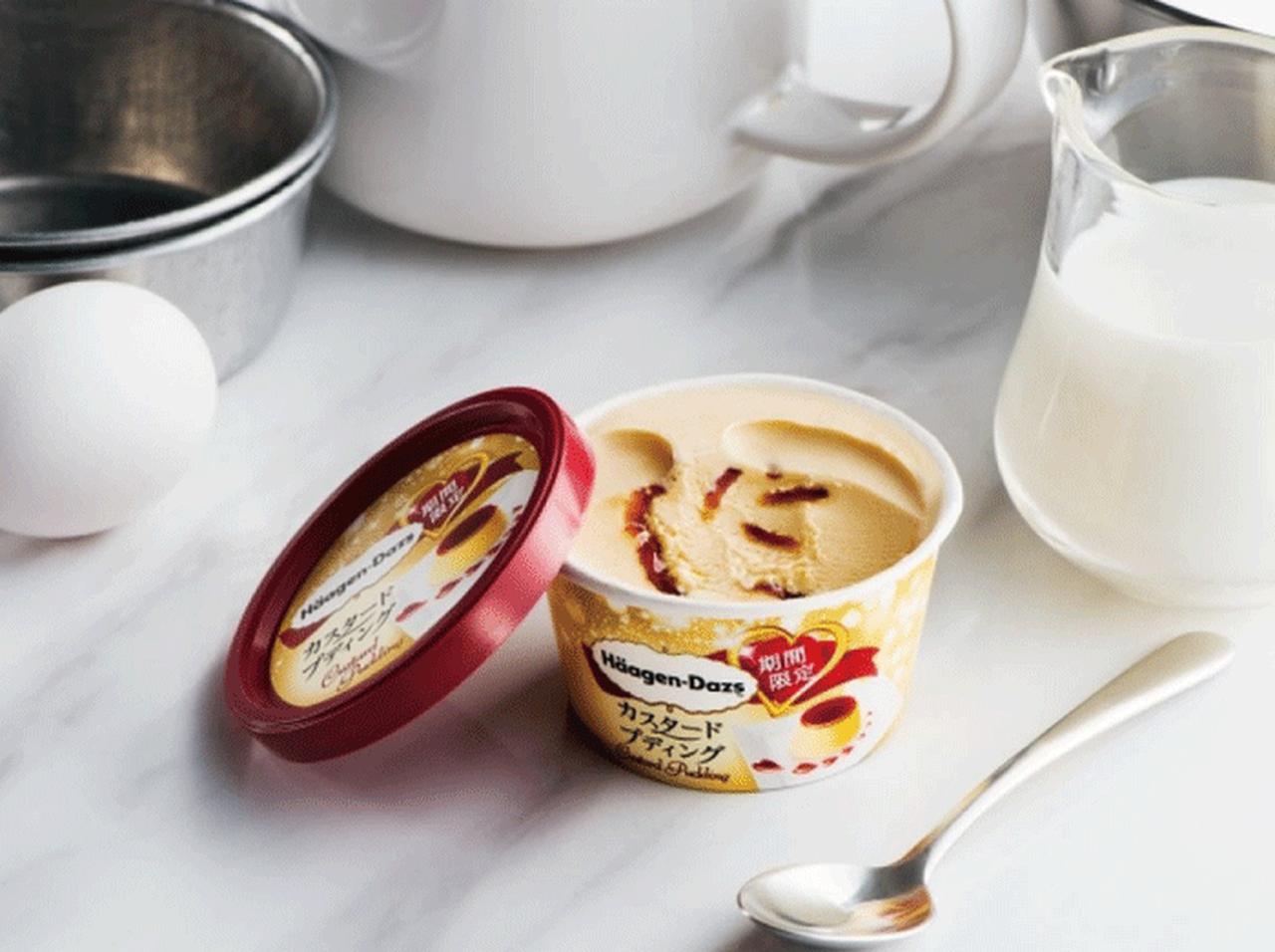 ハーゲンダッツ新作、濃厚なカスタードとカラメルソース『カスタードプディング』発売