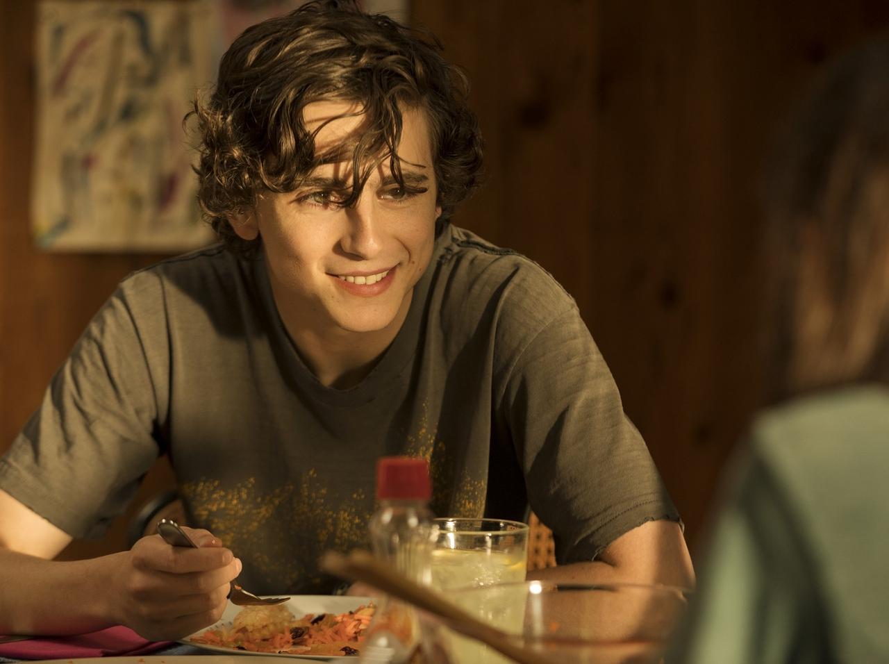 ティモシー・シャラメが薬物依存を演じる最新作の邦題タイトルが決定！