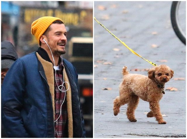 オーランド・ブルーム、愛犬の「散歩の仕方」に親近感【写真アリ】