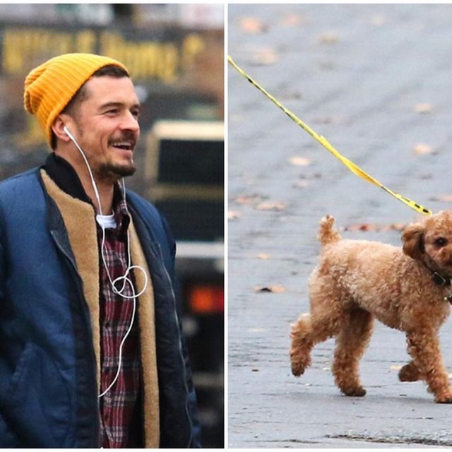 オーランド・ブルーム、愛犬の「散歩の仕方」に親近感【写真アリ】