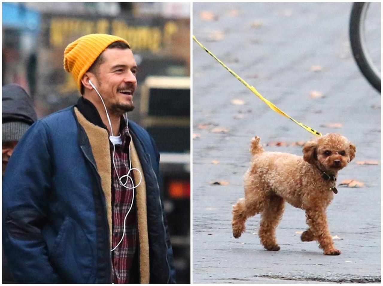 オーランド・ブルーム、愛犬の「散歩の仕方」に親近感【写真アリ】