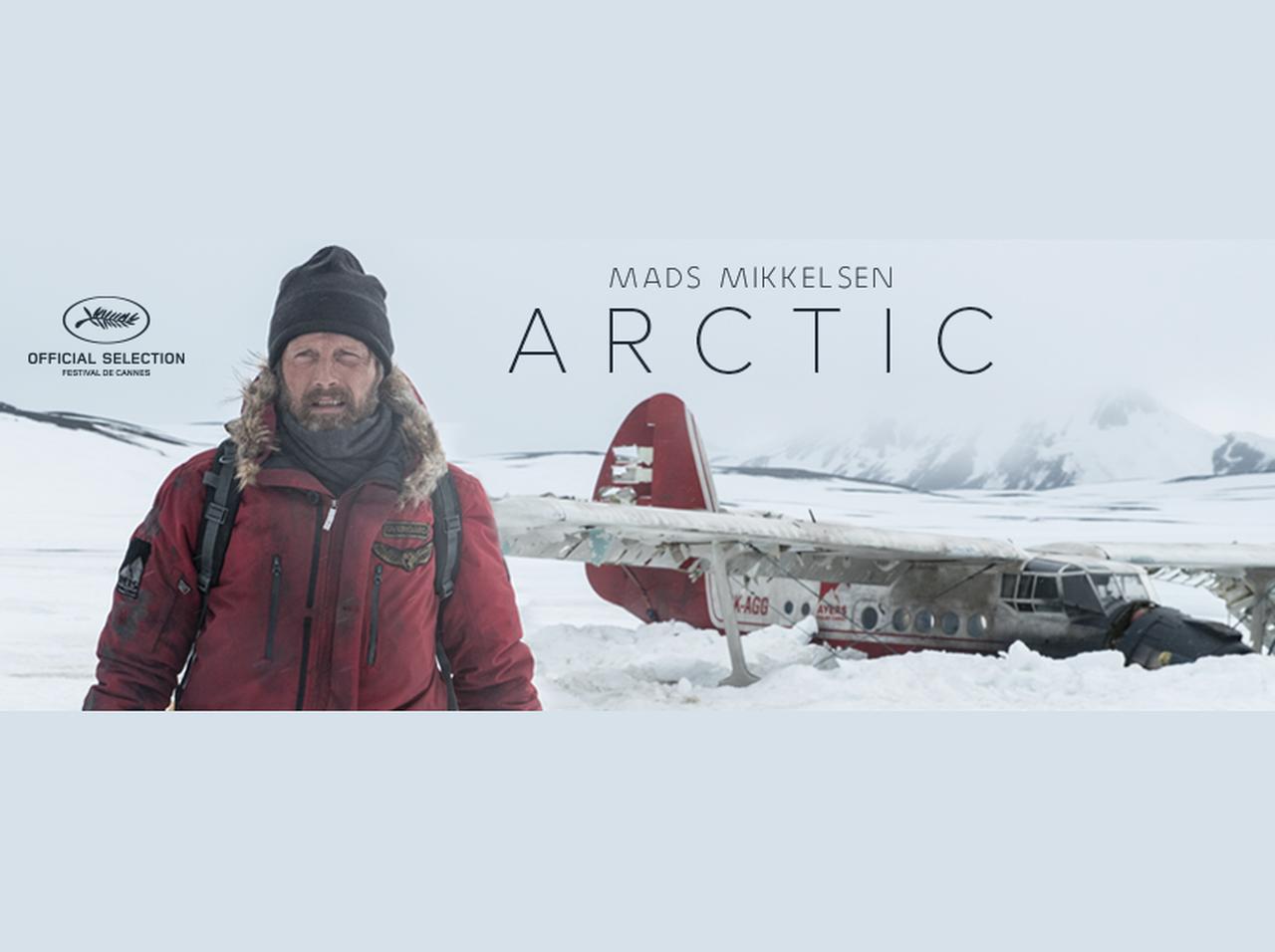 北極で生き延びるために、あなたならどの選択を選びますか?