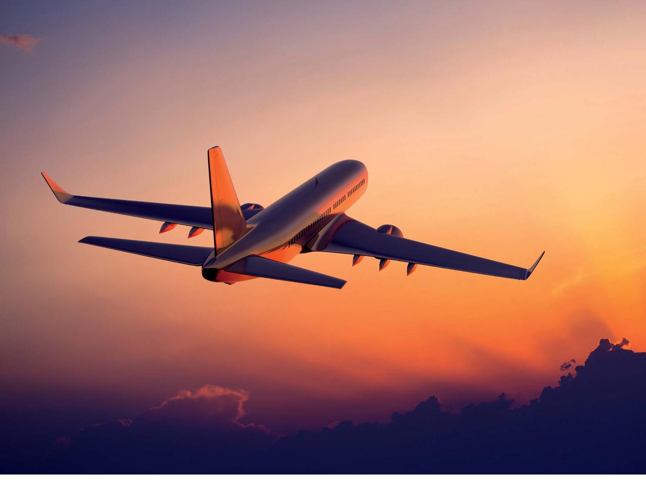 飛行機の機内で「運命の人」と出会う確率は『何人に1人』?結果に激震走る