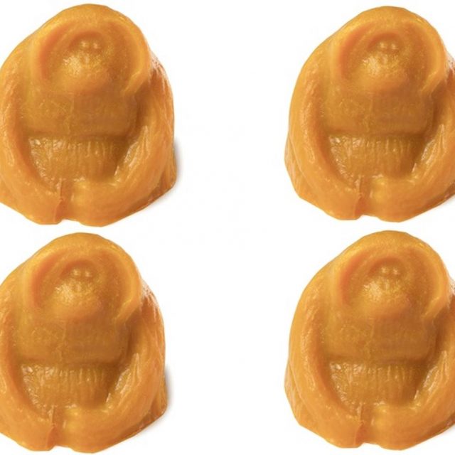 ラッシュ、森を救う「オランウータン ソープ」を発売！
