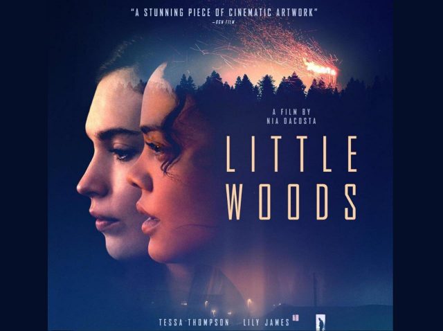 辛口映画批評サイトで奇跡の100点を叩き出したスリラー映画『リトル・ウッズ』