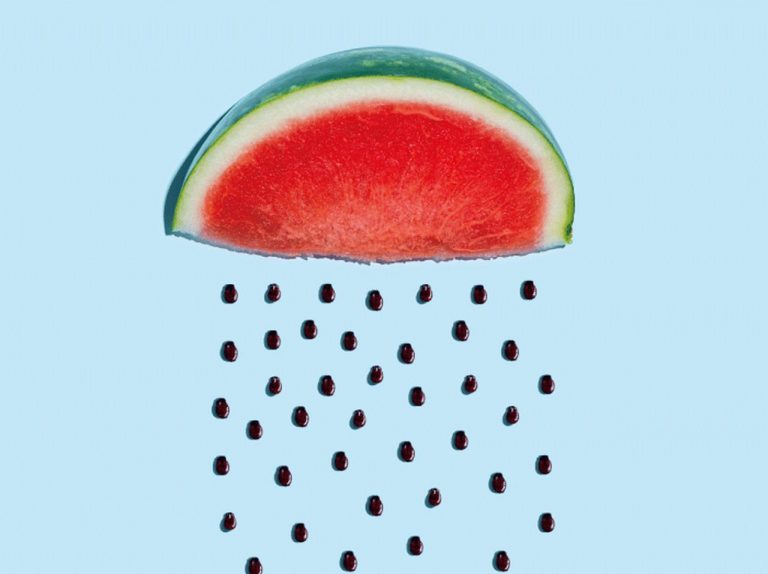 もう捨てないで！2019年「スイカの種」がスーパーフードとして大注目!!