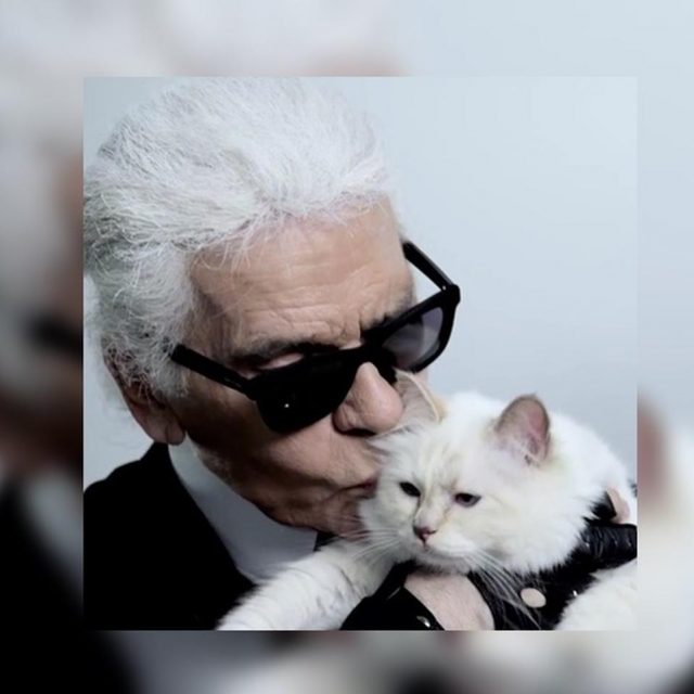 カール・ラガーフェルド、220億円の遺産はネコのシュペットがもらう？