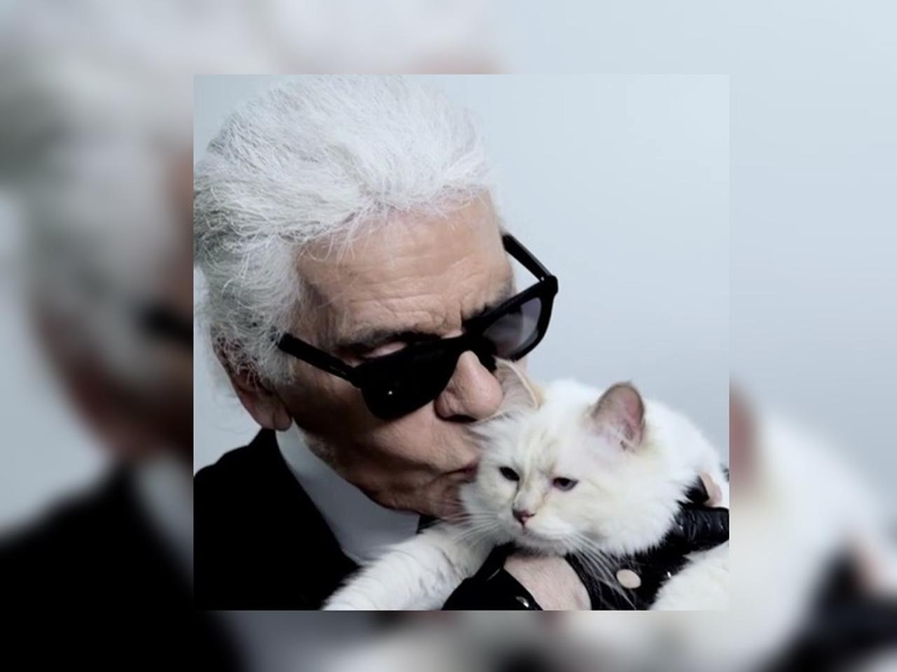 カール・ラガーフェルド、220億円の遺産はネコのシュペットがもらう？