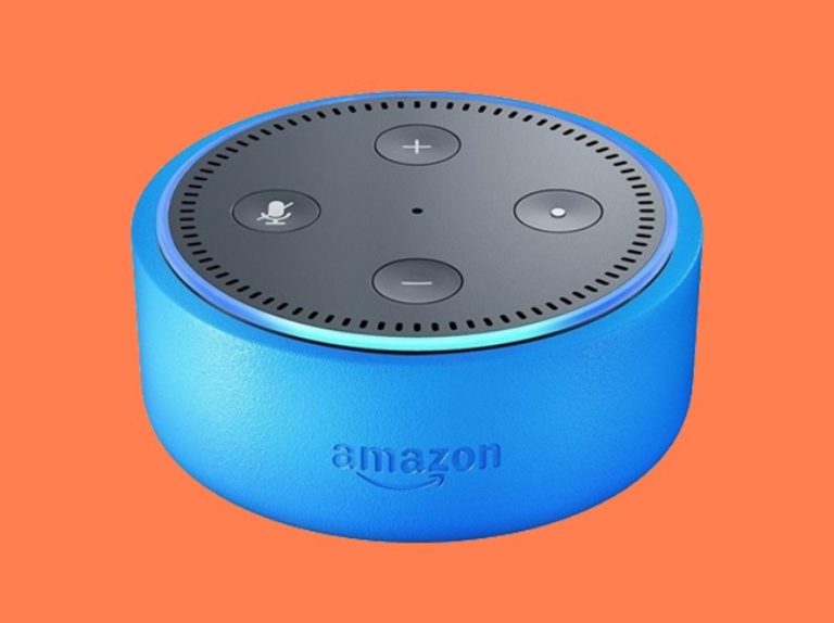 アマゾン「アレクサ」と息子が会話、その内容に母親が腰を抜かす
