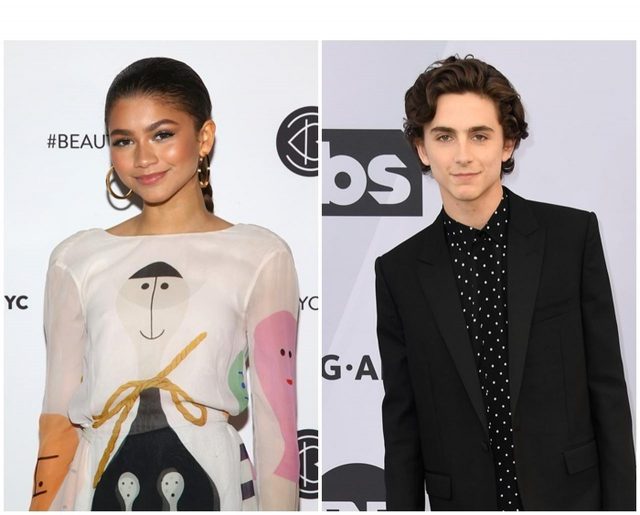 ゼンデイヤ、ティモシー・シャラメの恋人役であの作品のリブート版に出演か