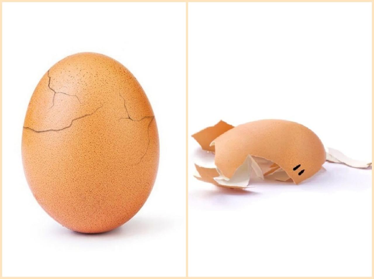 史上最多「いいね」獲得の卵、“いいねプレッシャー“に耐えられず割れる