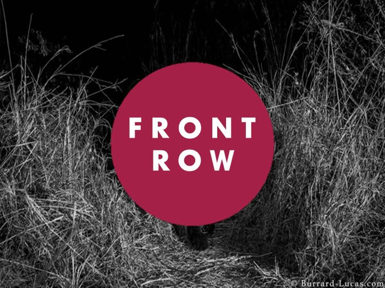 ブラックパンサーがアフリカで100年ぶりに撮影される、超貴重な記録が公開