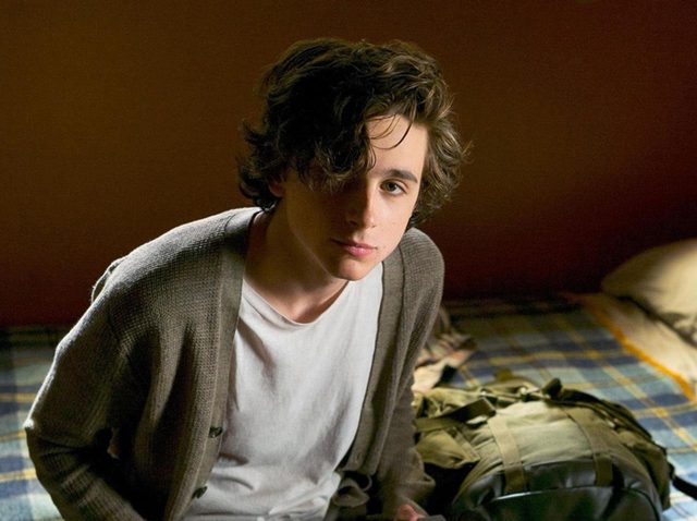 ティモシー・シャラメのファン集まれ！『ビューティフル・ボーイ』先行上映会にご招待