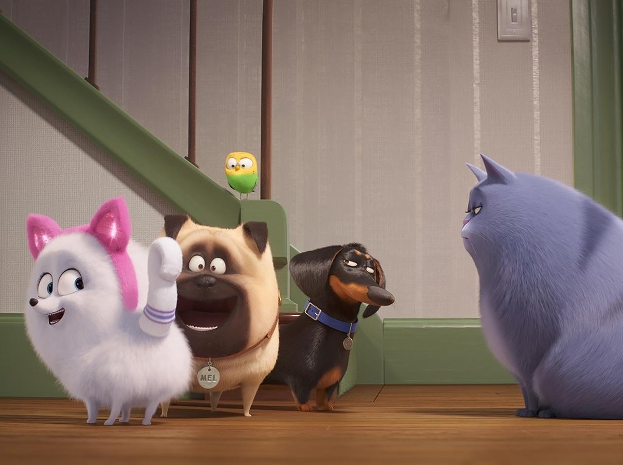 『ペット2』大人気キャラクターのギジェット編、特別動画が公開!