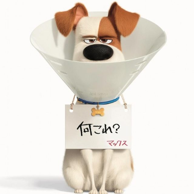 『ペット２』動物好きにはたまらない特別前売り券と、ストラップつき前売り券の発売が決定