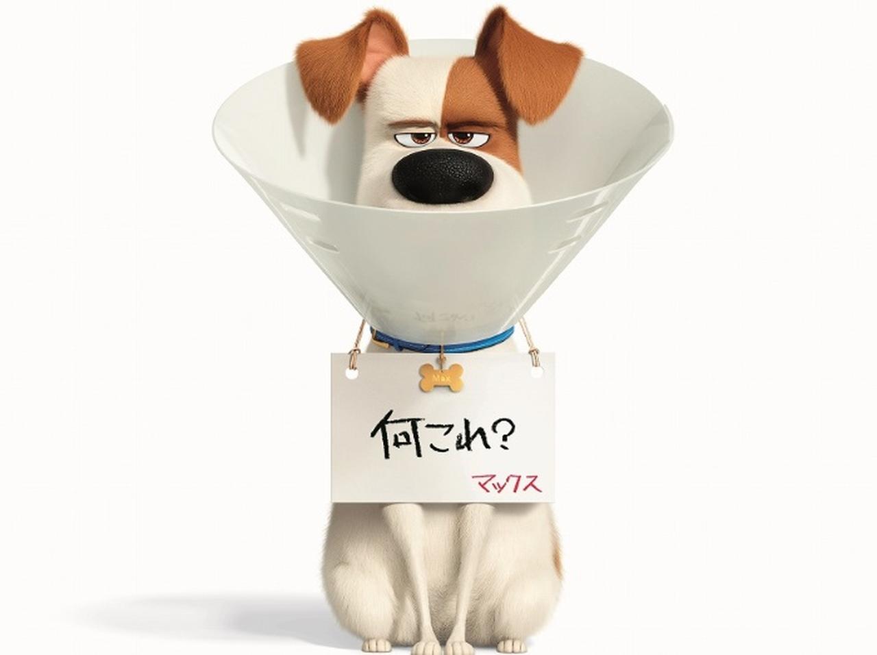 『ペット2』動物好きにはたまらない特別前売り券と、ストラップつき前売り券の発売が決定