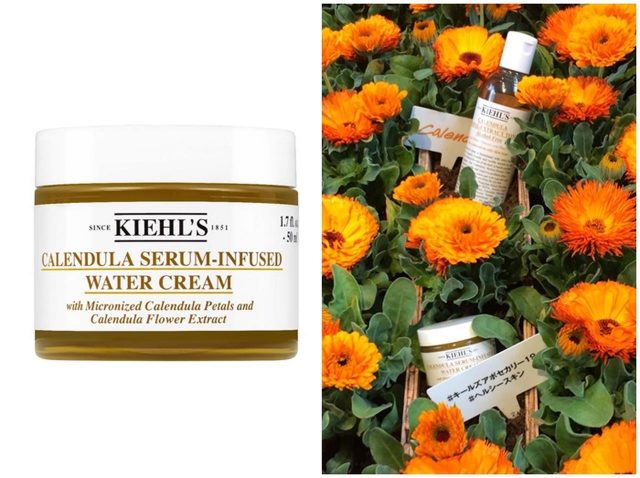 キールズ、売り上げNo.1化粧水から“肌を守るガードマン”カレンデュラの保湿クリームが誕生