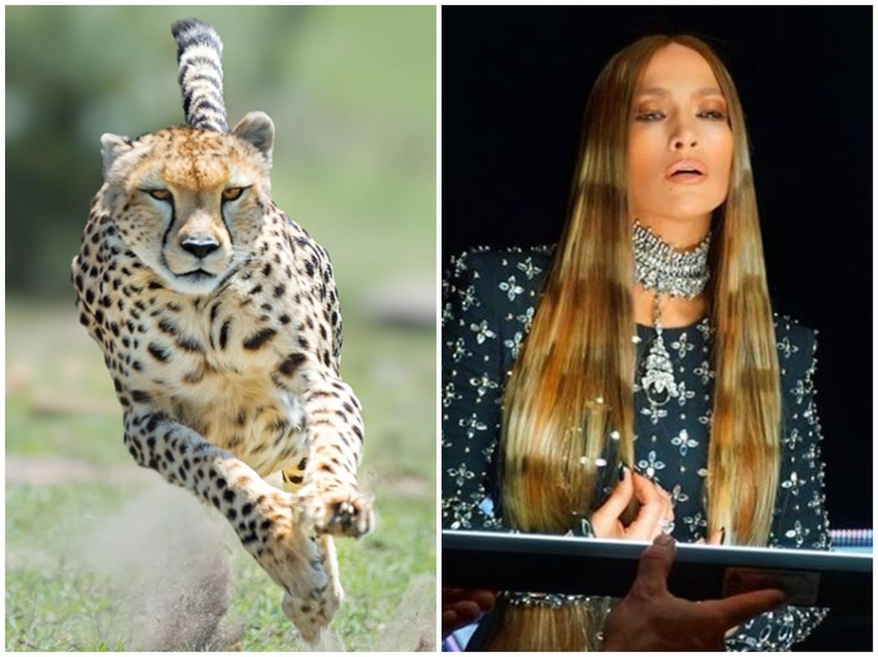 髪がアニマル柄！ジェニファー・ロペス、最先端のヘアカラーがかっこ良すぎる